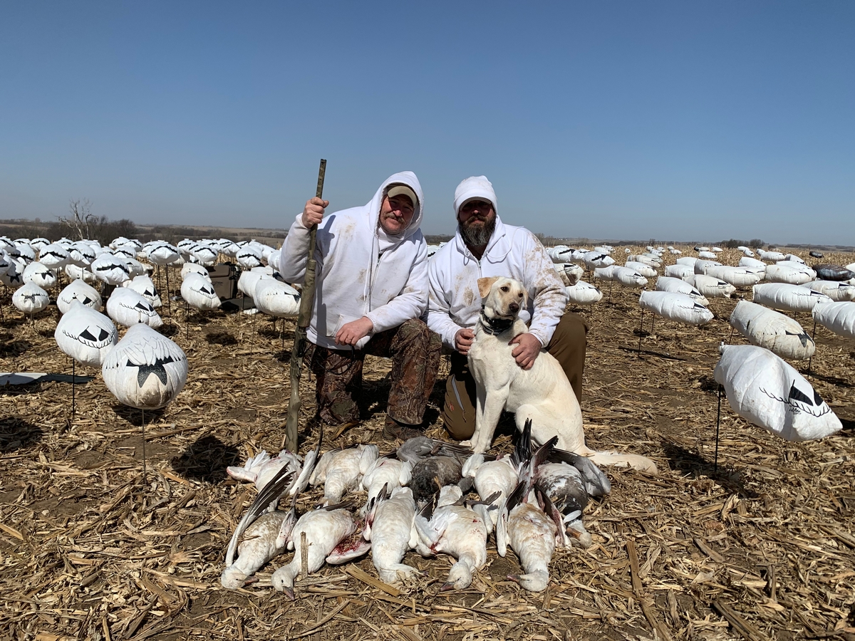 Missouri Snow Goose Hunting Photo