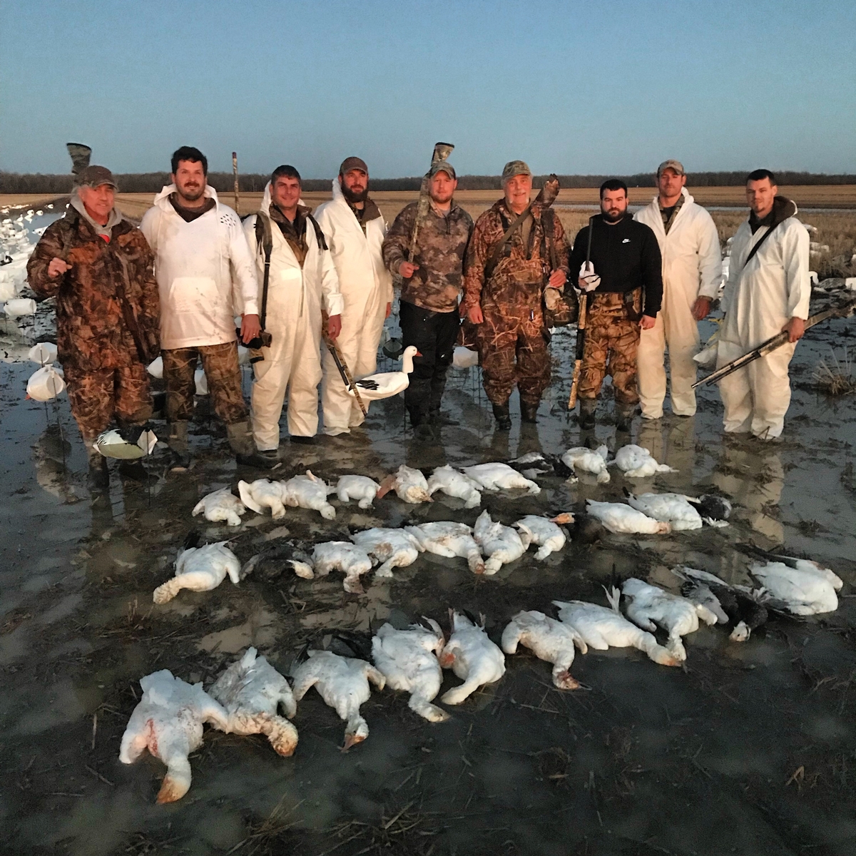 Missouri Snow Goose Hunting Photo