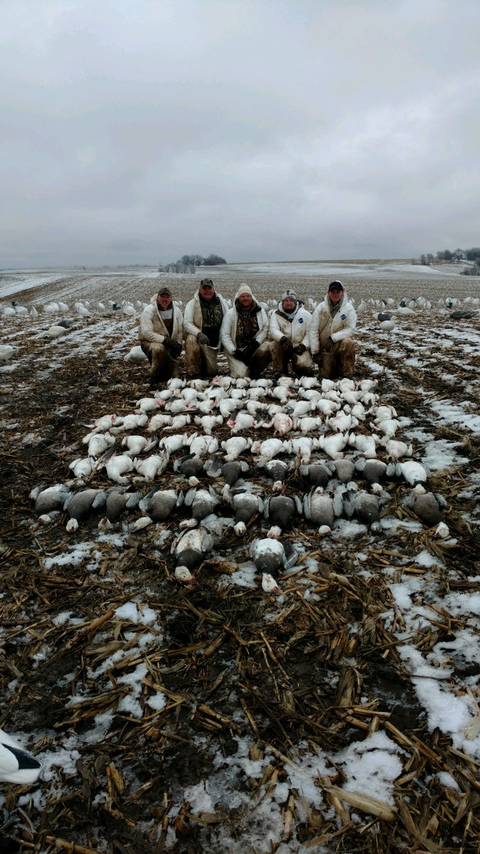 Missouri Snow Goose Hunting Photo