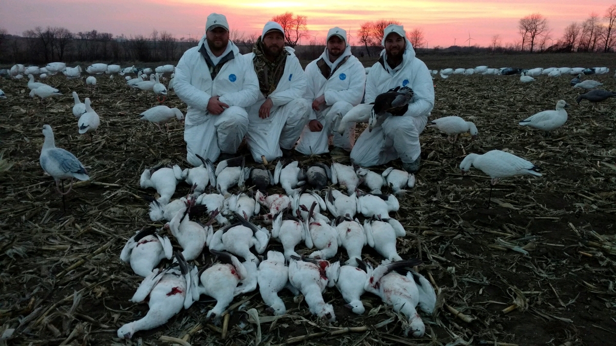 Missouri Snow Goose Hunting Photo