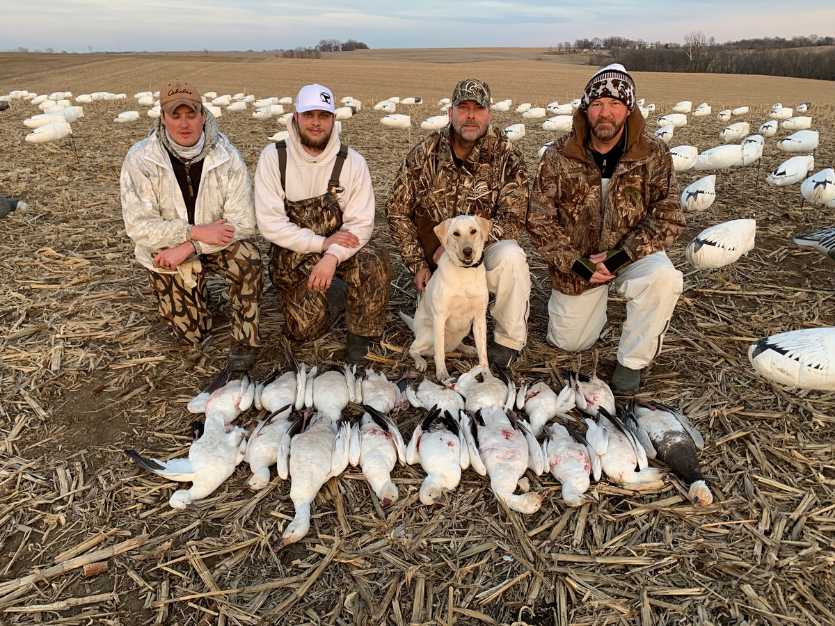 Missouri Snow Goose Hunting Photo