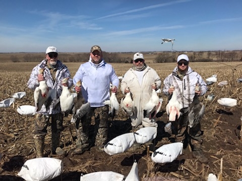 Missouri Snow Goose Hunting Photo