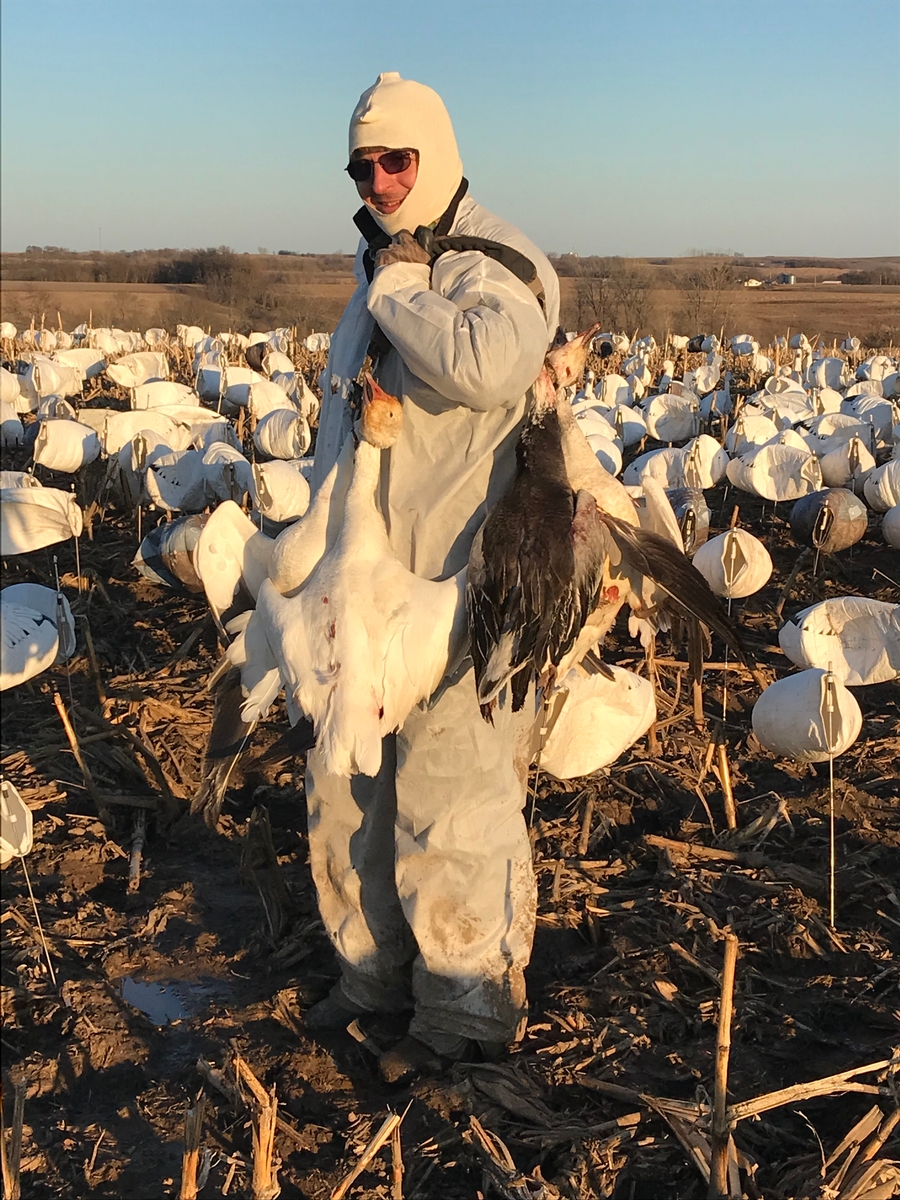 Missouri Snow Goose Hunting Photo