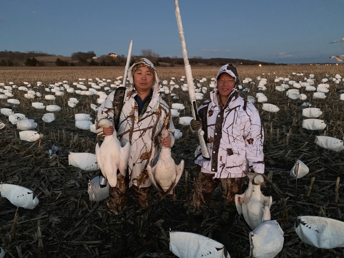 Missouri Snow Goose Hunting Photo