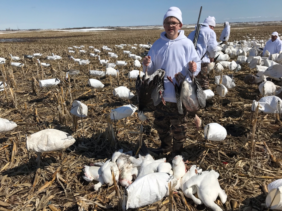 Missouri Snow Goose Hunting Photo