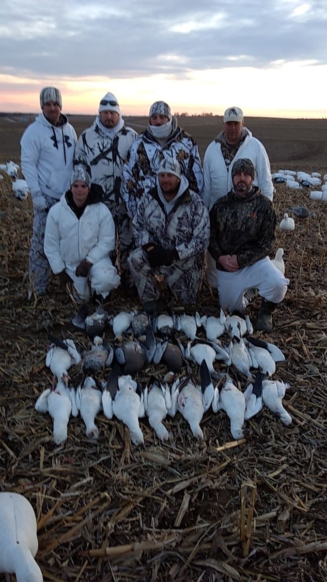 Missouri Snow Goose Hunting Photo