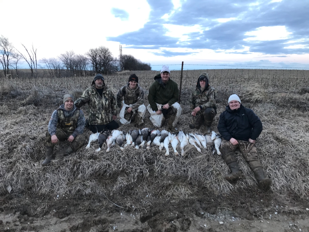 Missouri Snow Goose Hunting Photo