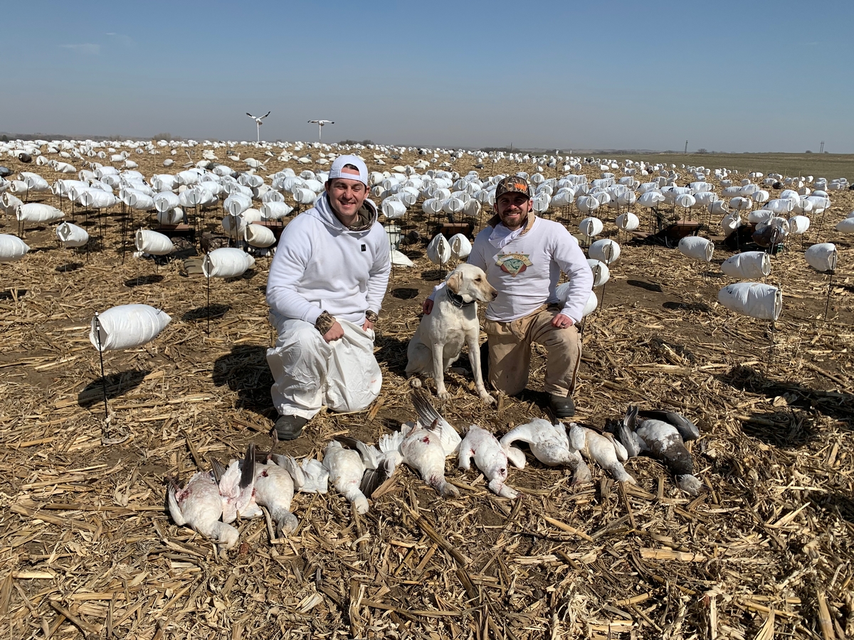 Missouri Snow Goose Hunting Photo