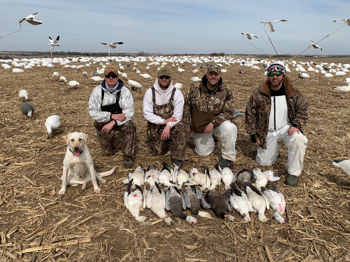 Missouri Snow Goose Hunting Photo