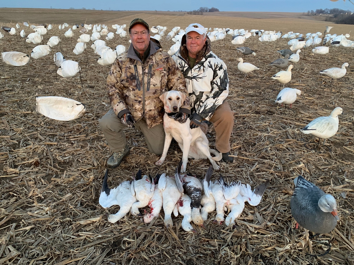 Missouri Snow Goose Hunting Photo