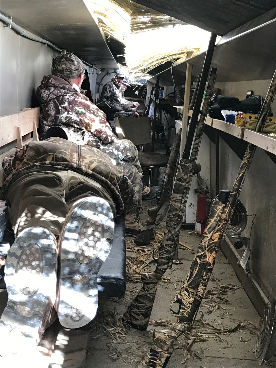 Missouri Snow Goose Hunting Photo