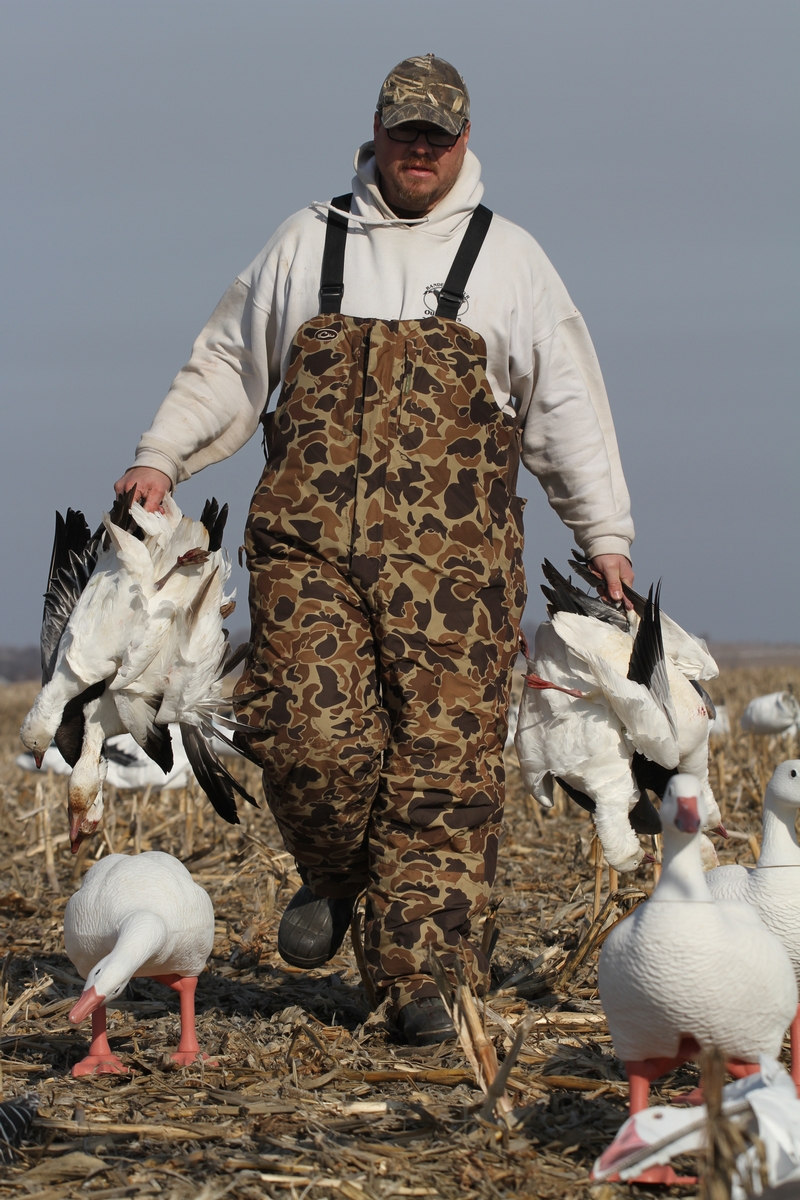 Snow Goose and Speck Hunting