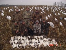 Missouri Snow Goose Hunting